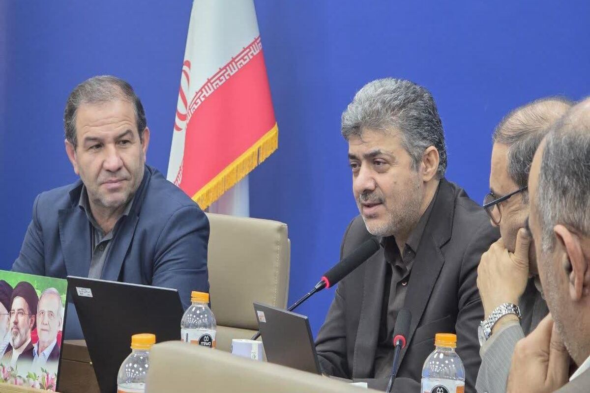 گودرزی رئیس مرکز آمار ایران 