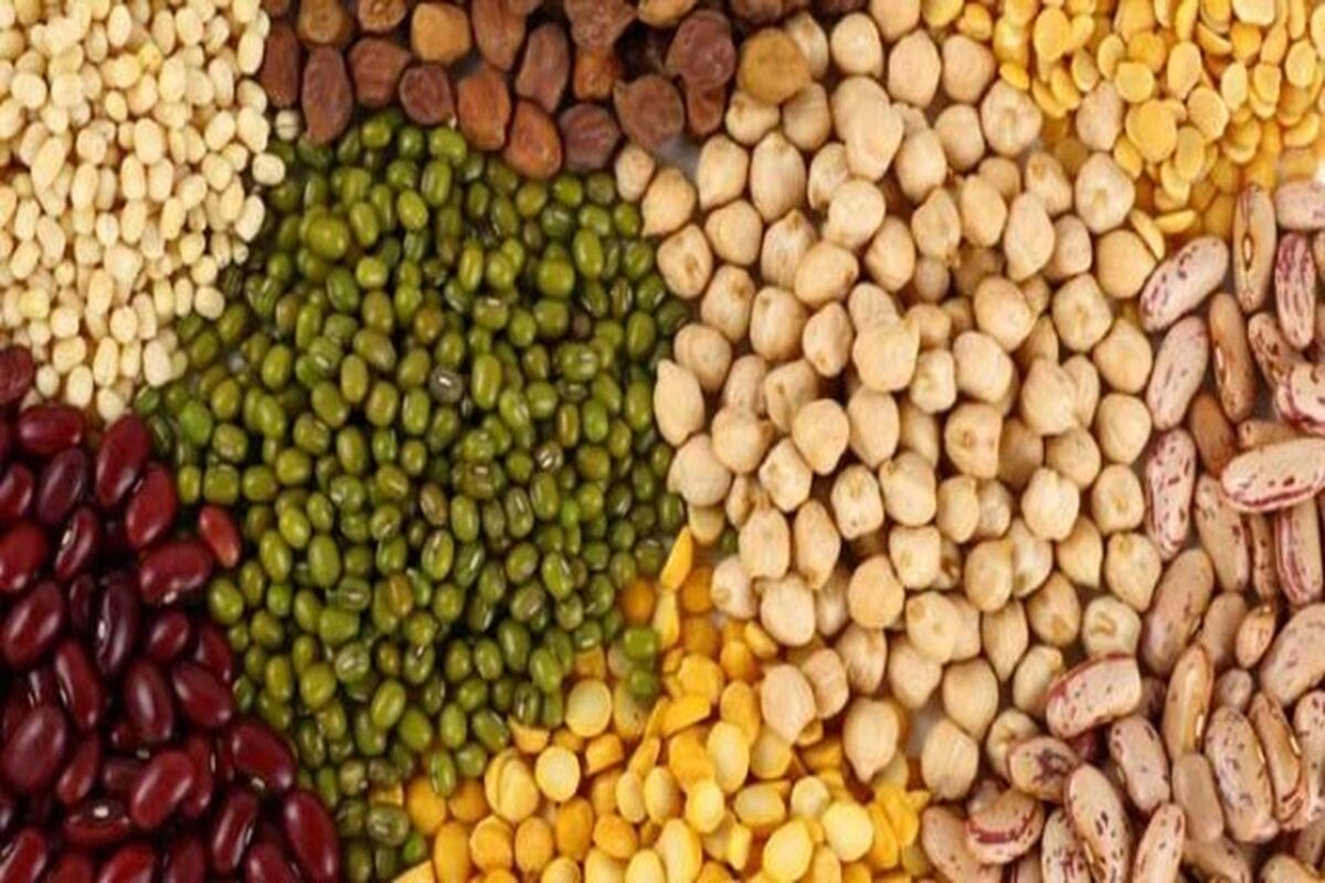 حبوبات احتکار شده