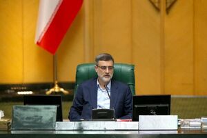 باید کمیسیون های مجلس ورود جدی تری به مسئله مقابله با گرانی ها داشته باشند