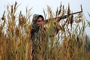 سه شکارچی متخلف در بندرلنگه به دام افتادند