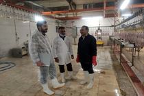 آغاز طرح تشدید نظارت های بهداشتی دامپزشکی به مناسبت فرارسیدن ماه مبارک رمضان و ایام نوروز