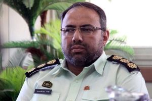 55 سارق در بروجرد بازداشت شدند