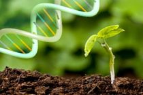 جایزه بزرگ زیست‌فناوری برگزار می‌شود