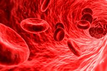 جدیدترین دستاوردهای نرم افزاری گوگل/ تشخیص علائم اولیه سرطان توسط گوگل