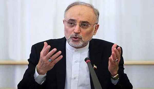 صالحی: ایران به دنبال ساخت و تولید راکتورهای کوچ است