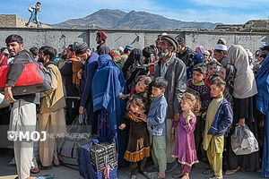 اتباع خارجی در ۵۶ شرکت صوری ۴۳۳ همت گردش مالی داشته‌اند 