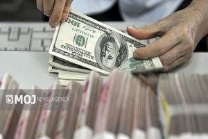 جدیدترین قیمت ارزها در بازار آزاد امروز ۲۵ مهر ۱۴۰۴