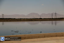 پساب تصفیه خانه گنج یاب نور وارد اراضی کشاورزی می شود