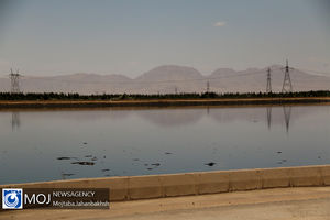 پساب تصفیه خانه گنج یاب نور وارد اراضی کشاورزی می شود