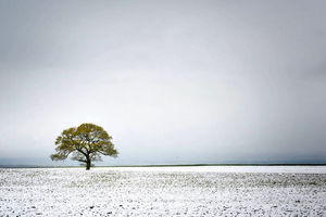 ارتفاع برف در اردبیل به 6 سانتیمتر رسید/روزهای آفتابی در راه است