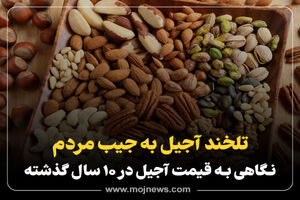 اینفوگرافیک/ قیمت آجیل 