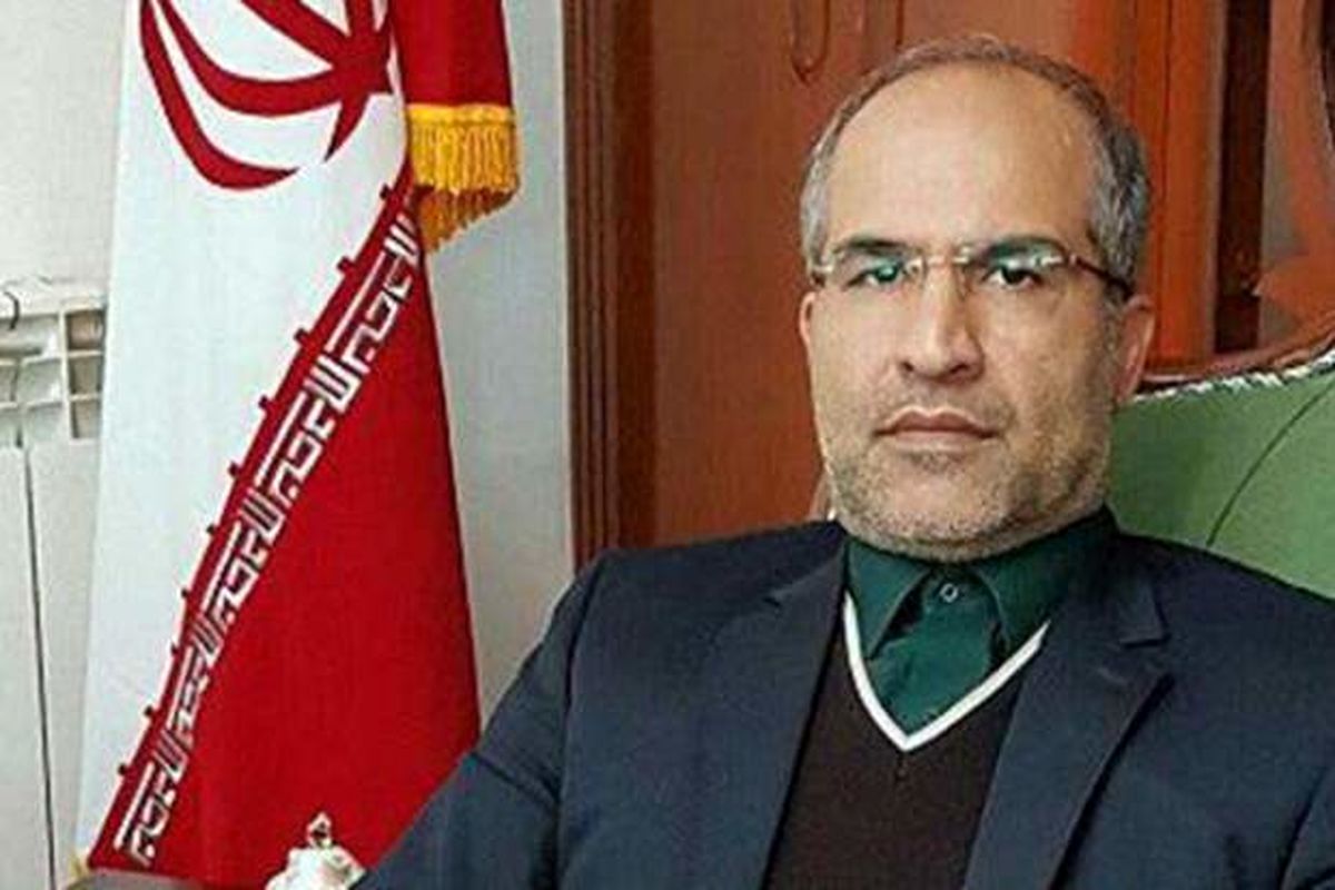 سید همایون بزرگ نیا