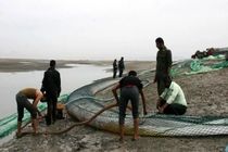 بسیاری از متهمان «بزرگ‌ترین پرونده قاچاق سوخت کشور» دستگیر شده‌اند