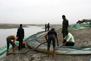 بسیاری از متهمان «بزرگ‌ترین پرونده قاچاق سوخت کشور» دستگیر شده‌اند