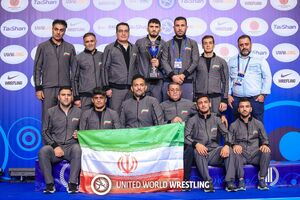 کاپ نایب‌قهرمانی کشتی آزاد جهان ۲۰۱۴ به ایران اهدا می‌شود