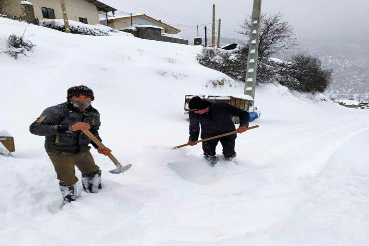 بارش برف در بخش کجور نوشهر
