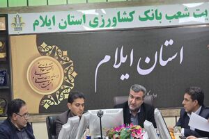 ضرورت تأمین ژنراتور برق اضطراری برای تداوم خدمات بانکها به مردم