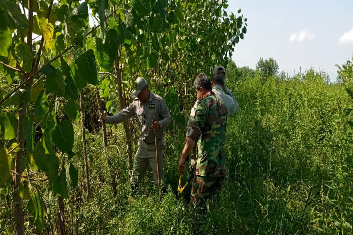 رفع تصرف اراضی