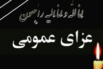 پنجشنبه عزای عمومی در استان فارس اعلام شد