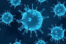 تشریح آخرین وضعیت کرونا در هرمزگان