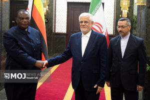 زیمباوه یکی ازشرکای مهم ما است