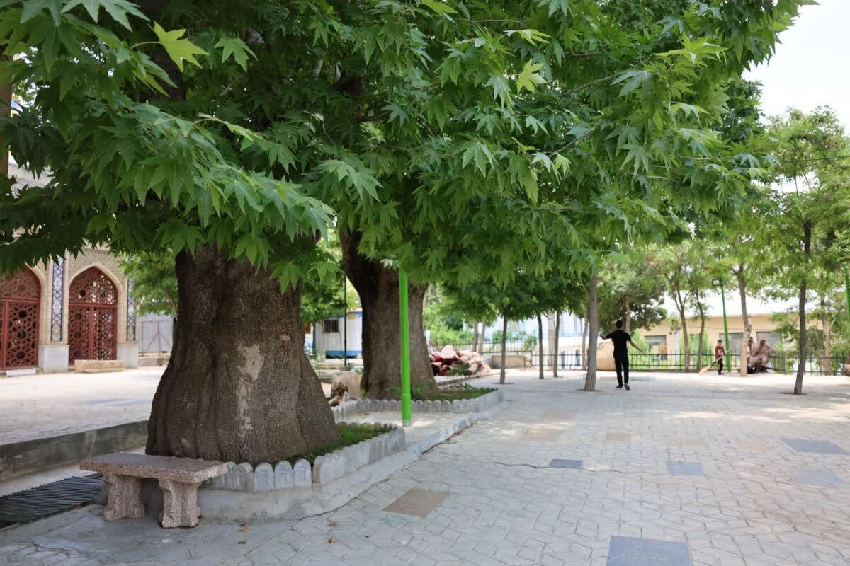 میراث فرهنگی فارس