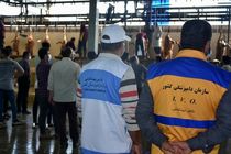 طرح تشدید فعالیت‌های نوروزی در ایلام آغاز شد