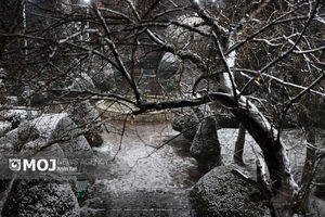 بارش باران و برف در نیمه غربی کشور