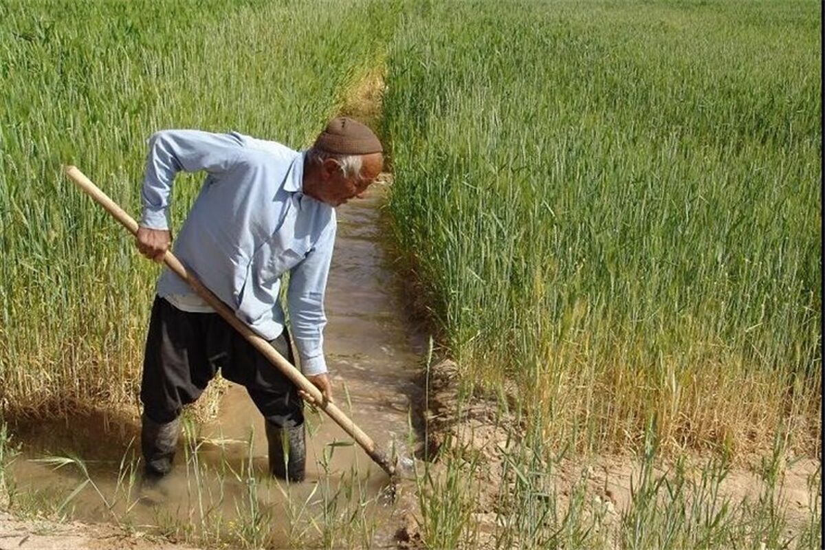 تولید محصولات کشاورزی