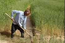  صدور « یارا کارت» بانک کشاورزی در خرداد ماه