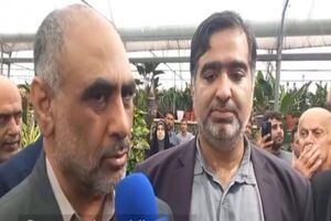 حمایت از تولید برنج، هدف اول وزارت جهاد کشاورزی در کشور