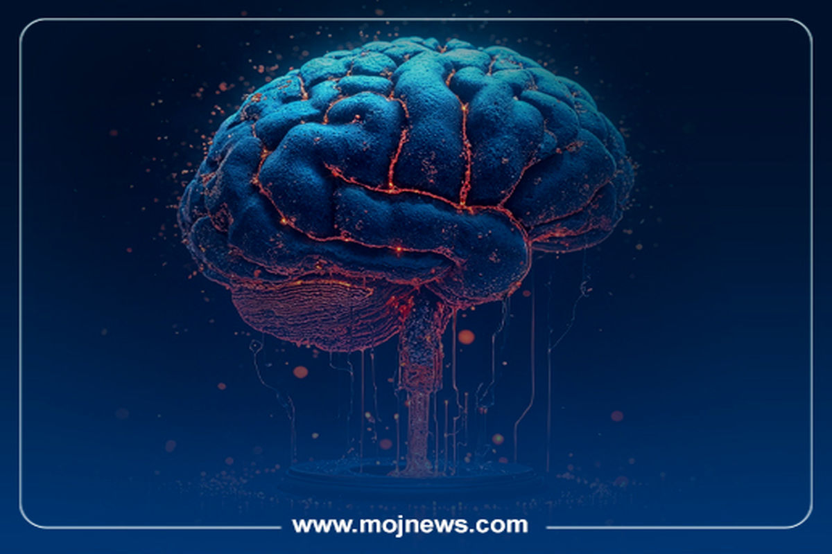 کاور 12 عادت مغز