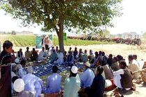 اجرای موفق  کاروان ترویجی الگوی کشت ملی محصولات زراعی در سیستان وبلوچستان