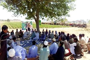 اجرای موفق  کاروان ترویجی الگوی کشت ملی محصولات زراعی در سیستان وبلوچستان