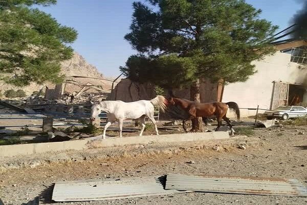 دهکده المپیک