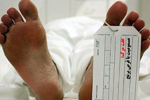 ۱۷۸ نفر بر اثر مسمومیت با قرص برنج در مازندران فوت کردند