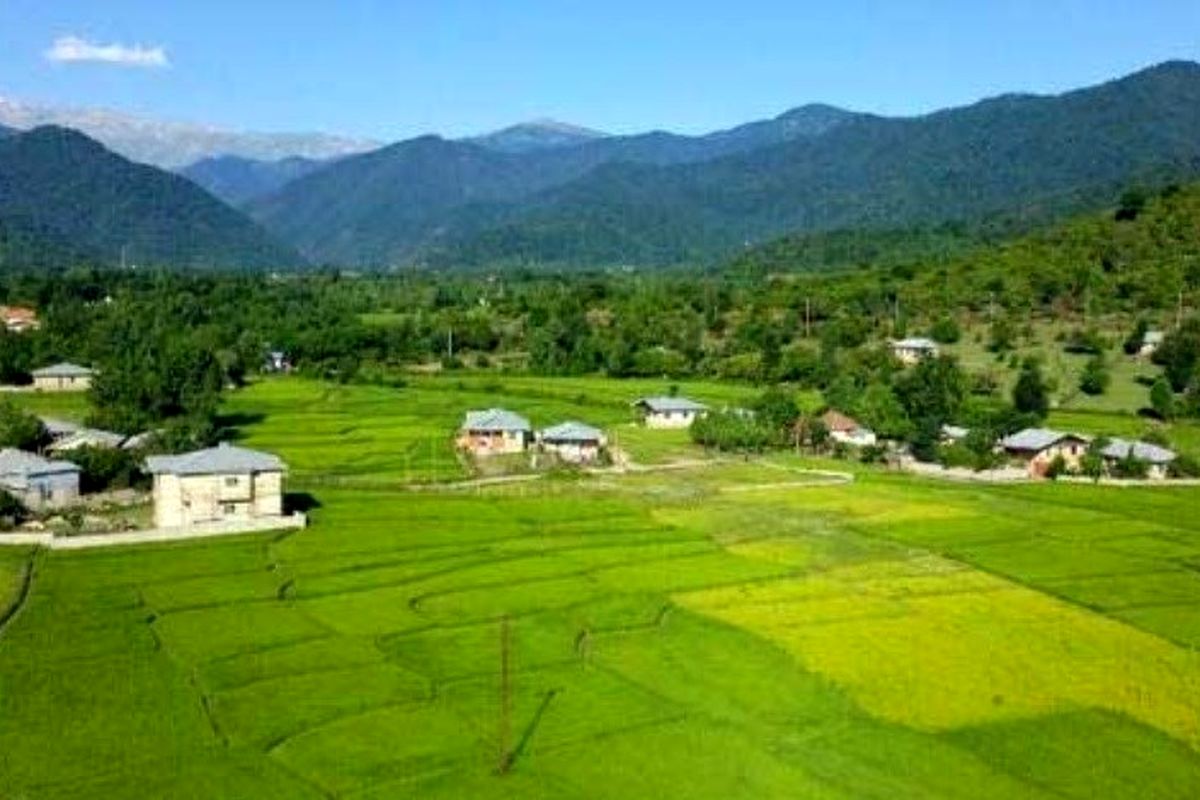 رفع تصرف اراضی ملی ماسال