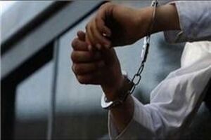 فرد هنجار شکن در ایستگاه مترو پایتخت بازداشت شد