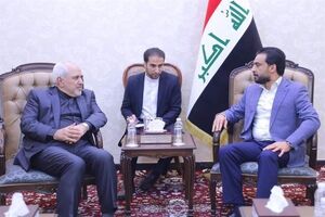 تمایل داریم روابط متعادلی با کشورهای حاشیه خلیج فارس برقرار کنیم