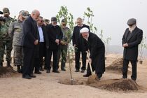 کاشت یک نهال میوه توسط رئیس دستگاه قضا در روز درختکاری