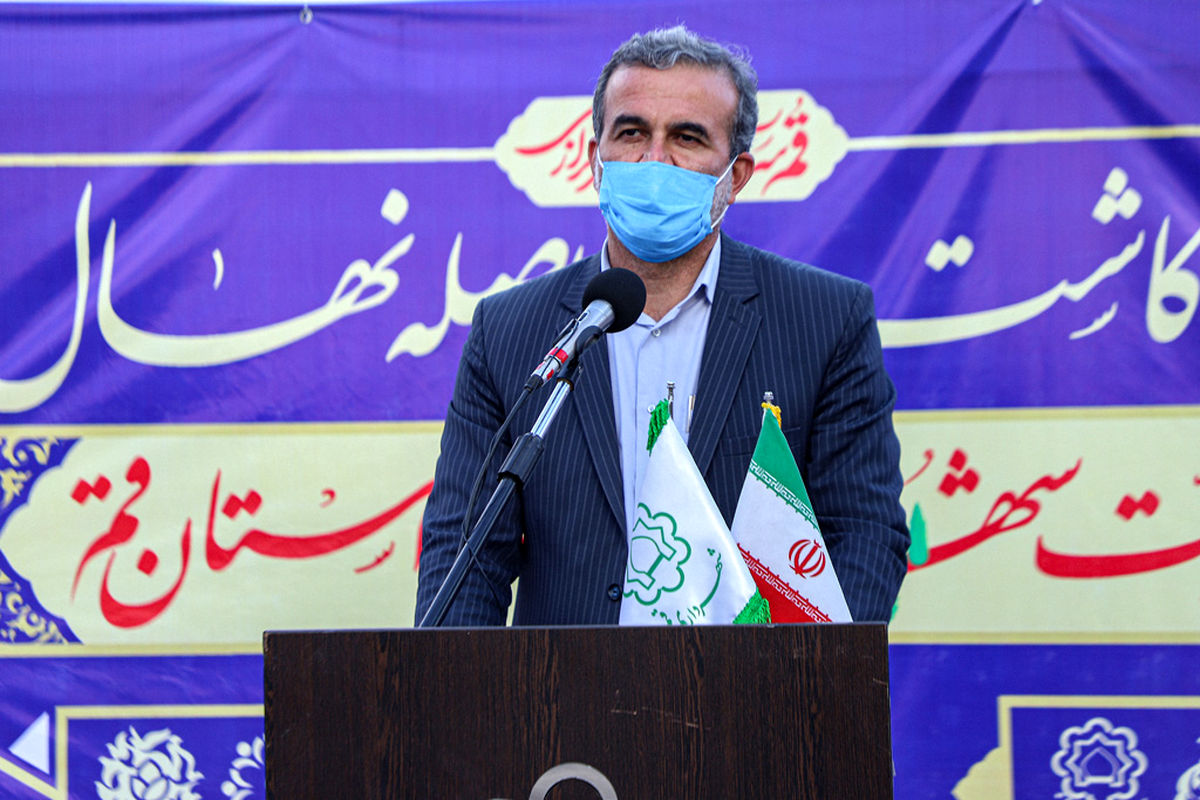 سید امیر سامع