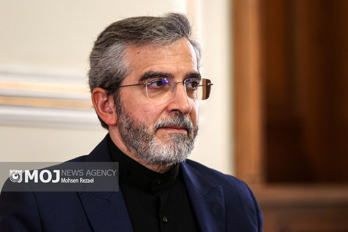 دیدار رئیس کمیته بین الملل دومای روسیه با علی باقری