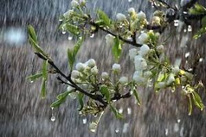باران در ۱۴ استان می بارد