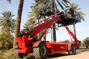 پرداخت تسهیلات برای خرید ماشین برداشت خرما در هرمزگان