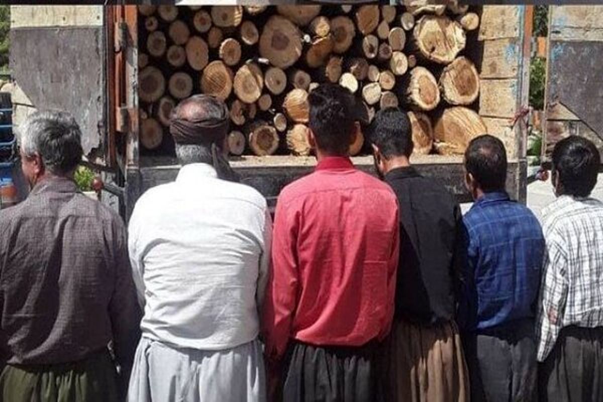 قطع درختان و حمل چوب