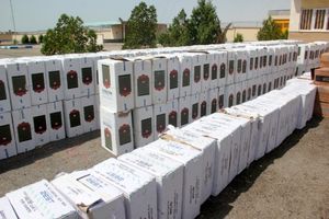 کشف یک میلیون و 484 هزار نخ سیگار در هرمزگان 