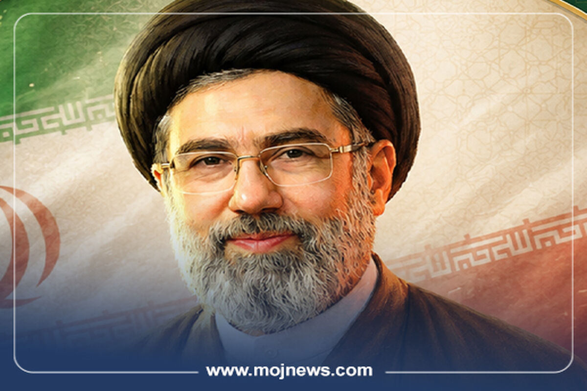 کاور اینفو2 copy582