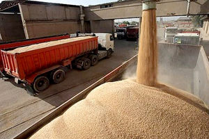 پرداخت کامل مطالبات گندمکاران خوزستانی، تا ده روز آینده انجام می شود