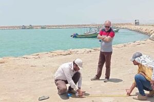عملیات اجرایی زیرساخت موقت بندر بونجی در جاسک آغاز شد 