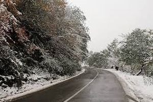 بارش برف و باران در گیلان